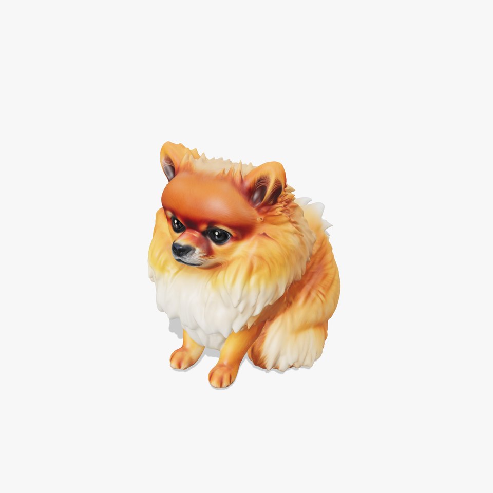 Fluffy Pomeranian Dog Model Pack